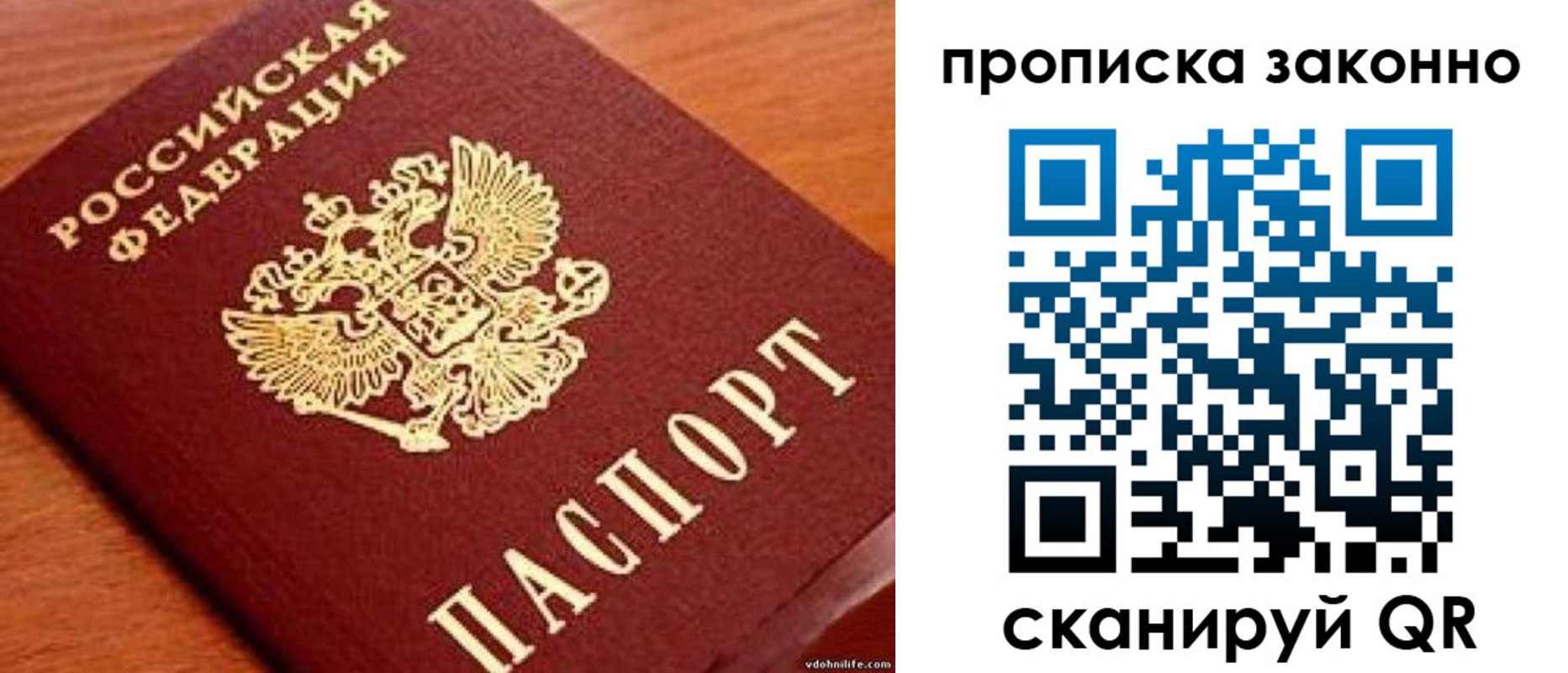 временная регистрация надежно в Дубне