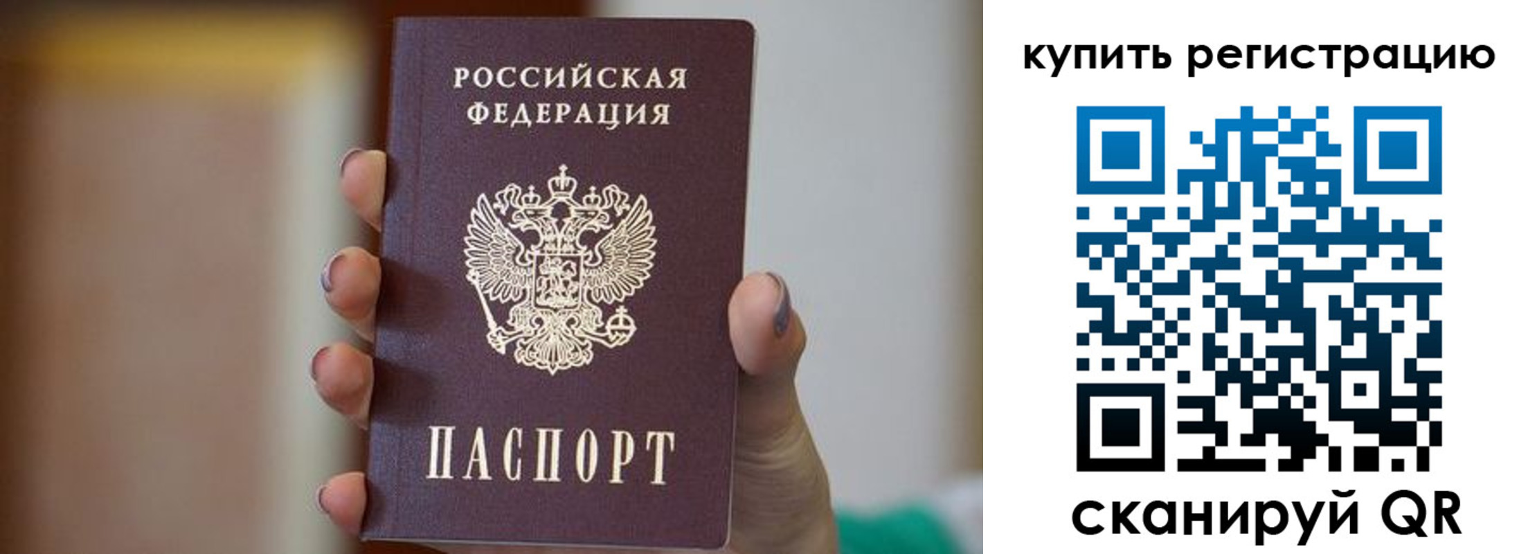 прописка гарантия в Дубне